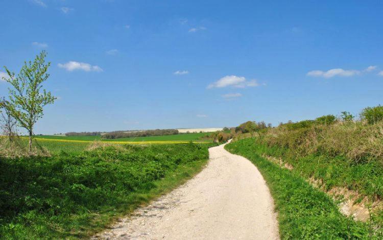 The Run, West Lavant チチェスター エクステリア 写真